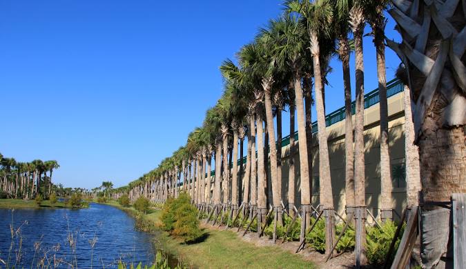 Plumbing in Palm City, FL